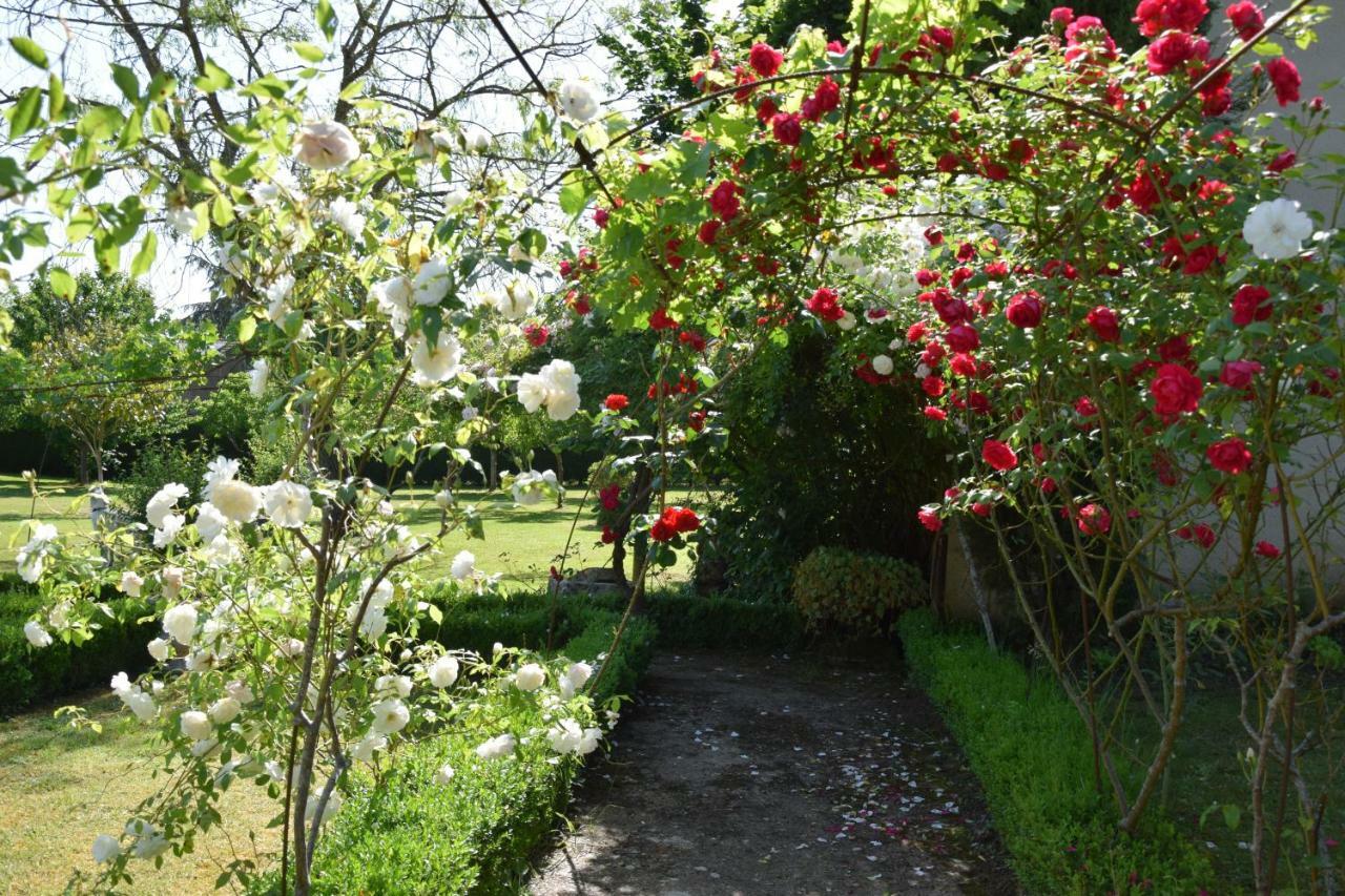 L'Intemporelle B&B Le Buisson-de-Cadouin Exterior foto